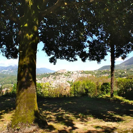 Il Leccio