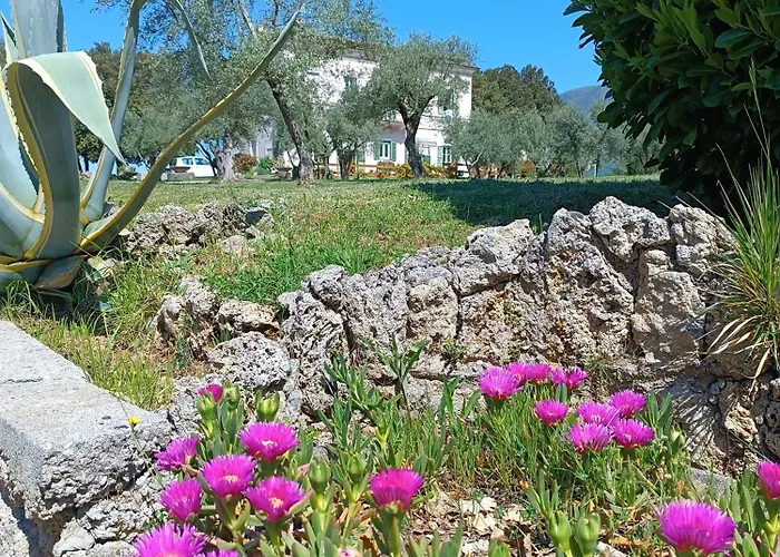 Il Leccio Bed and Breakfast 3*